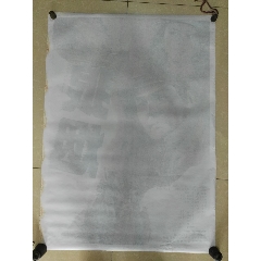 定制高仿荷兰护照
